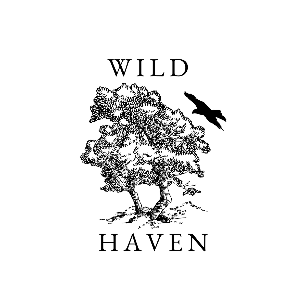 Wild Haven Microschool